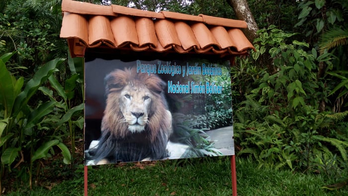 Ultimele grădini zoologice din Costa Rica au fost închise, la unsprezece ani după adoptarea unei legi privind protecţia florei şi faunei