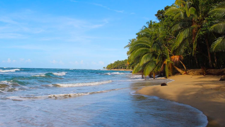 Costa Rica, desemnată de ONU ‘Campionul Pământului’ pentru rolul său de prim plan în combaterea schimbărilor climatice