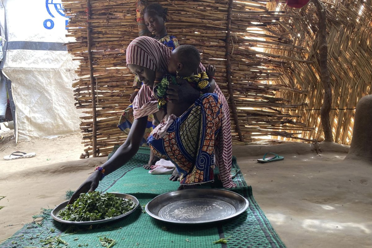 ONU: lumea se confruntă cu o criză alimentară fără precedent
