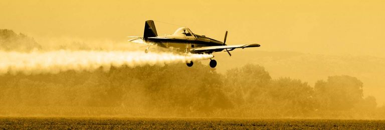 Cinci mari oraşe din Franţa au interzis utilizarea pesticidelor pe teritoriul lor