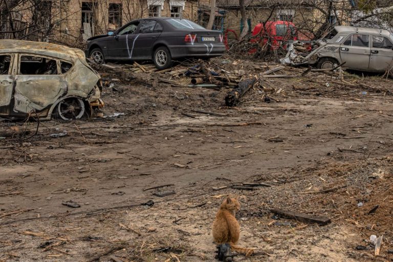 Nouă civili au fost uciși în timpul bombardamentelor din Donețk