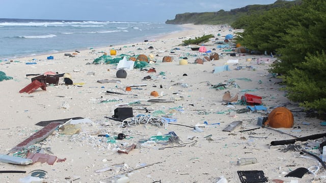 Galapagos : 22 de tone de deşeuri vor fi analizate pentru a proteja mai bine insulele