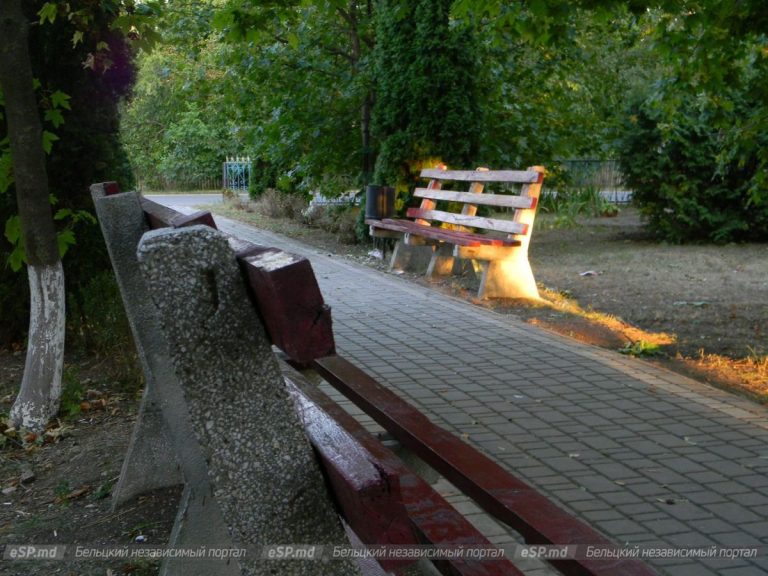 Parcul din orașul Glodeni ar putea fi renovat în următorii ani