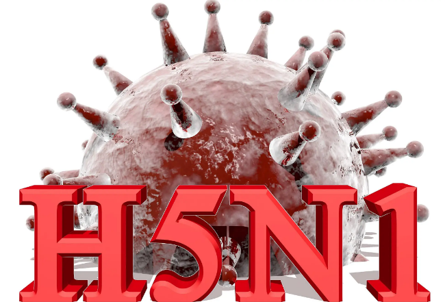 O fată în vârstă de 11 ani din Cambodgia infectată cu virusul gripei aviare H5N1 a murit