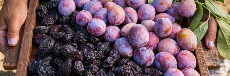 Moldova e lider la exportul de prune în Europa