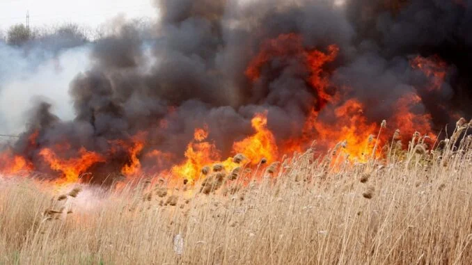 IGSU avertizează despre riscul izbucnirii focarelor de ardere a vegetației uscate