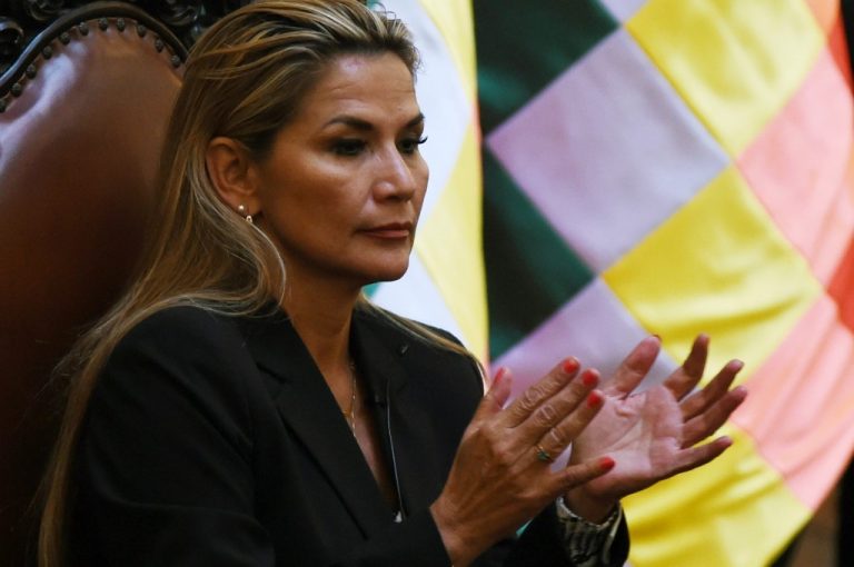 Jeanine Anez  şi-a anunţat candidatura la prezidenţialele din Bolivia