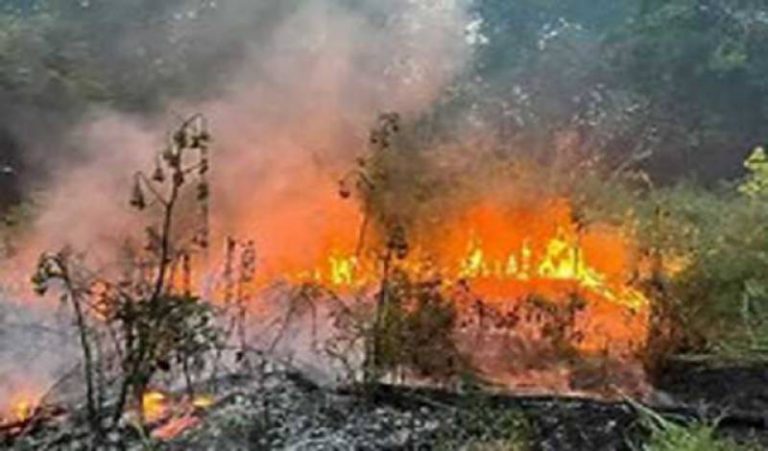 O persoană dată dispărută în incendiile de pădure care fac ravagii în nord-estul  Kazahstanului