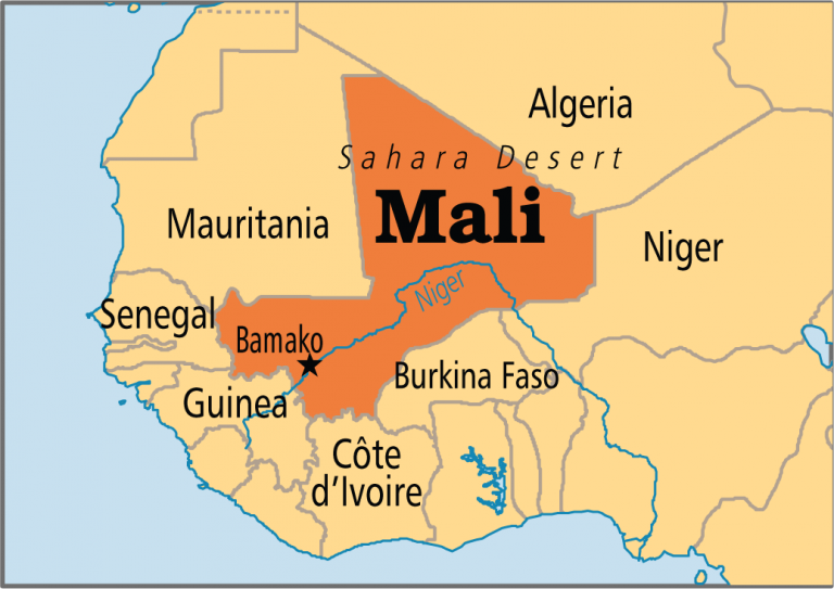 Doi civili au fost uciși și o patrulă a armatei franceze atacată într-un atac în Mali