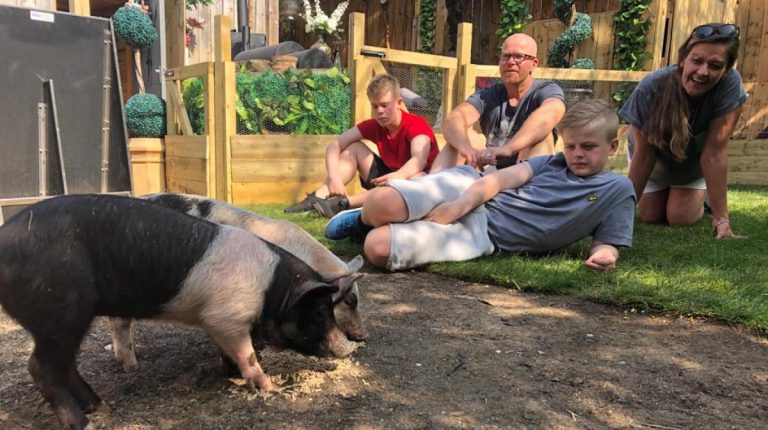 ‘Meat the family’ – Un ‘reality show’ britanic dezbate dacă am putea mânca un animal pe care l-am îngrijit trei săptămâni