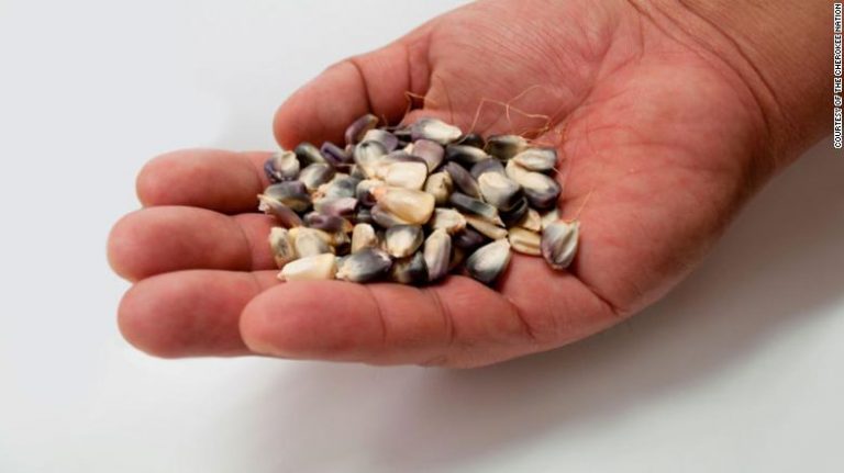 Rezerva globală de seminţe s-a mărit cu peste 20.000 de eşantioane noi