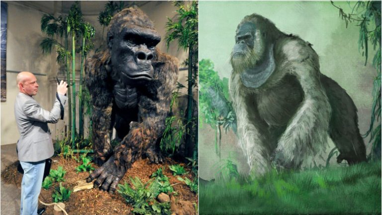 Misterul dispariției adevăratului King Kong care a trăit în sudul Chinei a fost rezolvat