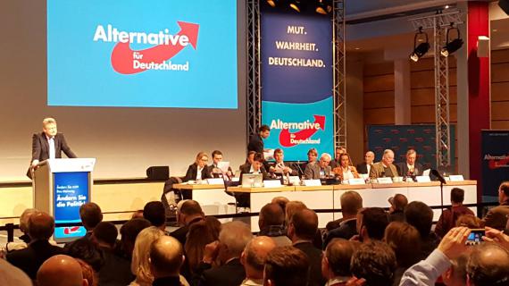 Alternativa pentru Germania va fi principalul partid de opoziţie în noul Parlament de la Berlin