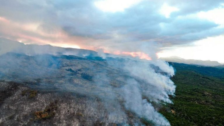 Un incendiu în Patagonia distruge 600 de hectare într-un sit UNESCO