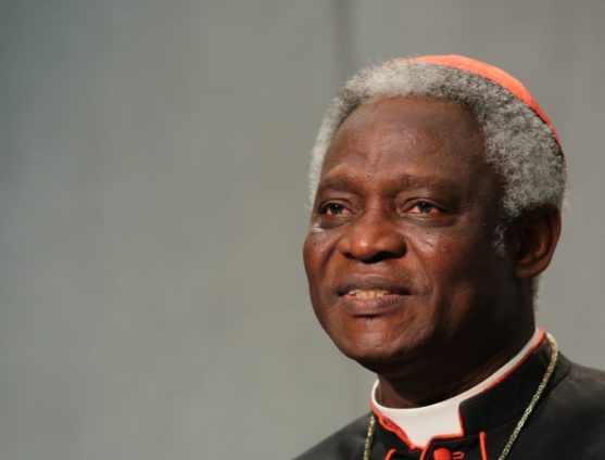 Cardinalul Peter Turkson şi-a prezentat brusc demisia de la conducerea unui departament cheie al Vaticanului