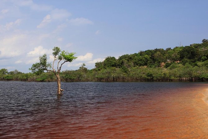 Fluviul Rio Negro, la cel mai înalt nivel; peste 24.000 de familii, afectate de inundaţii în regiunea amazoniană