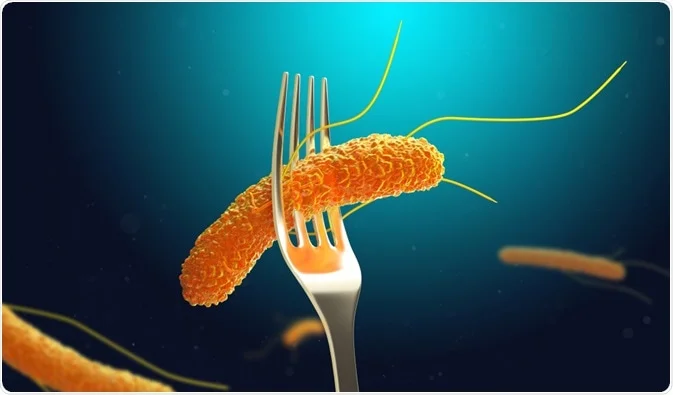 Proprietățile antimicrobiene ale sucului de roșii pot ucide Salmonella (studiu)