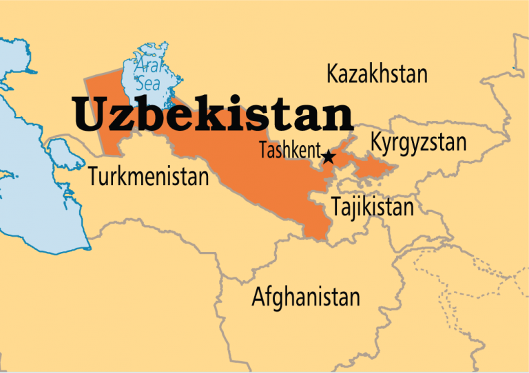 Uzbekistanul scuteşte studenţii, profesorii şi asistenţii medicali de muncile agricole