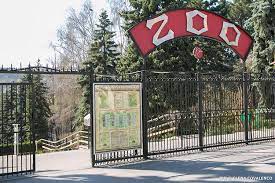 Acces gratuit pentru toți copiii la Grădina Zoologică pe 1 iunie