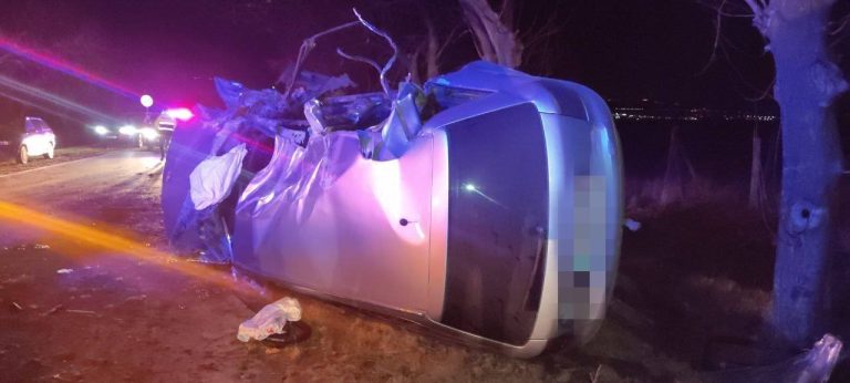 O copilă a murit după ce șoferul beat al mașinii în care se afla s-a izbit într-un copac