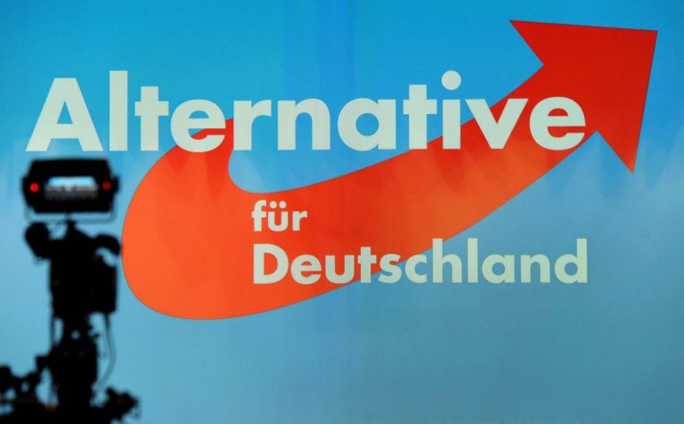 Extrema dreaptă din Germania își alege noua conducere