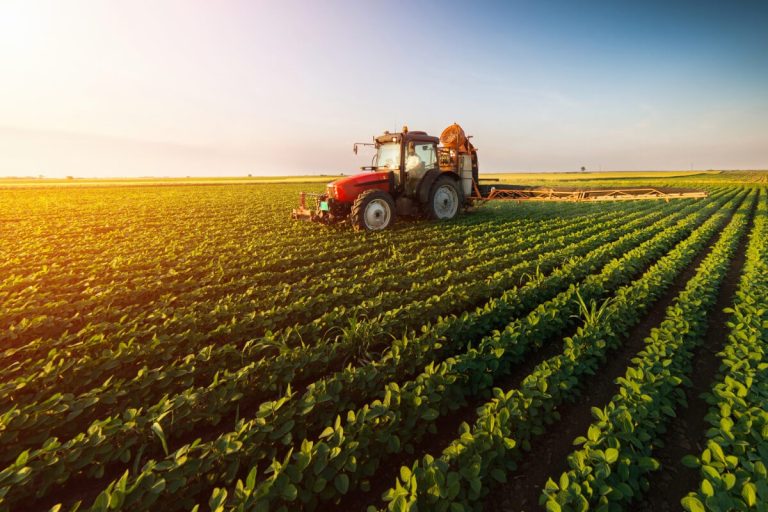 Îndemnul MAIA către agricultorii și comercianții care utilizează produse de uz fitosanitar și fertilizanți