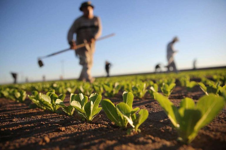 UE examinează acordarea unui ajutor de urgență pentru agricultorii moldoveni