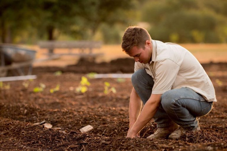 Agricultorii mai pot solicita granturi post investiționale încă două zile