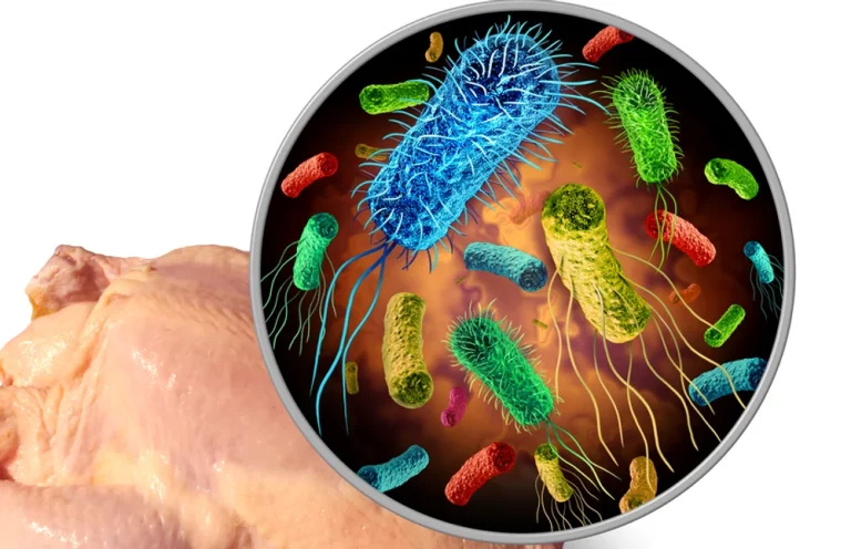 Bacteria care îmbolnăvește milioane de oameni în fiecare an. Câte periculoasă este