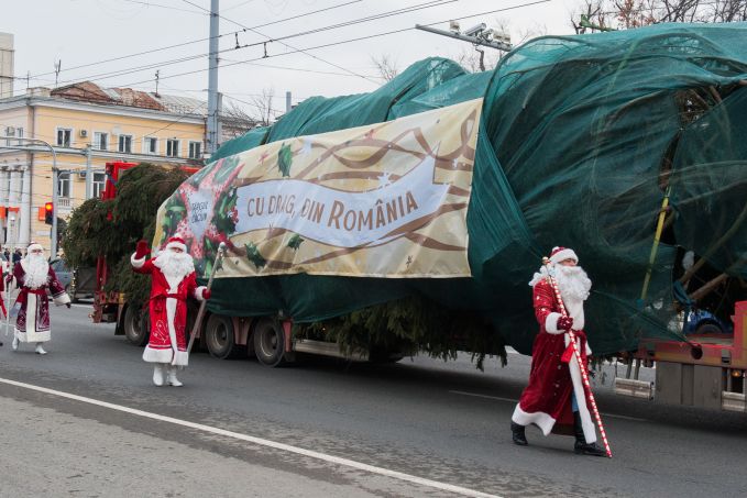 Cu drag din România – Bradul, donat de Guvernul de la Bucureşti pentru Târgul de Crăciun, instalat în centrul Chişinăului