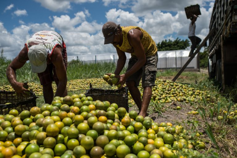 212 muncitori ţinuţi condiţii de ‘sclavie’, eliberaţi în Brazilia