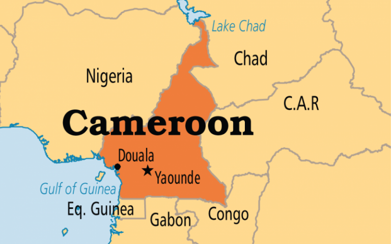 Elevii răpiți zilele trecute într-un oraș din vestul statului Camerun au fost eliberați