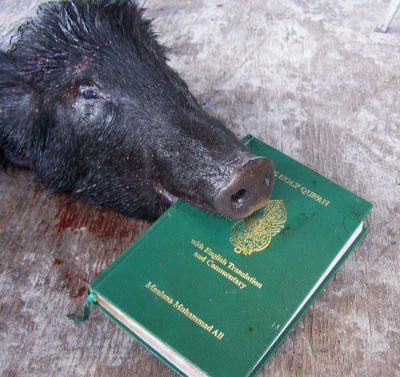 INCIDENT Un cap de porc, descoperit la şantierul unei moschei din Germania