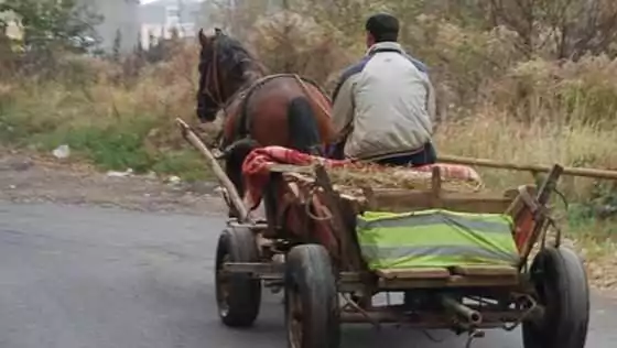 A băut de-a binelea și s-a pornit la plimbare cu căruța prin sat