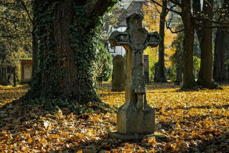 Scene macabre într-un cimitir din Suceava: A visat mortul îngropat acum patru zile și a mers să-l dezgroape!