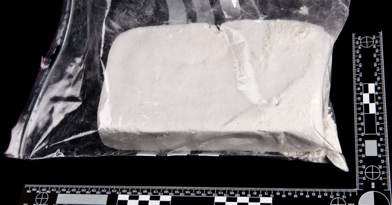 600 kg de cocaină au fost descoperite într-un container plin cu mango