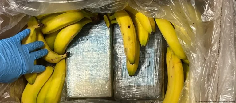 95 kg de cocaină descoperite printre banane în supermarketuri din Germania