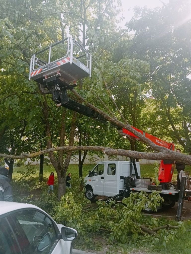 Vântul a doborât mai mulți arbori din Chișinău