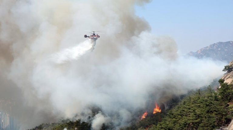 Incendii de pădure în mai multe regiuni din Coreea de Sud