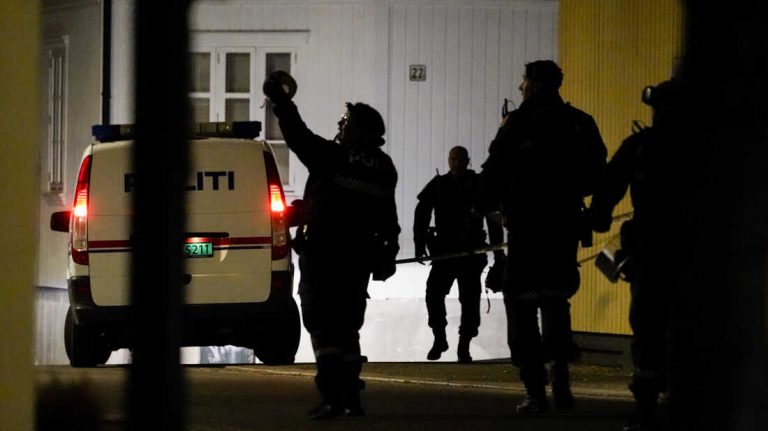 Autorul atacului armat dintr-un centru comercial din Copenhaga, internat într-o unitate psihiatrică închisă