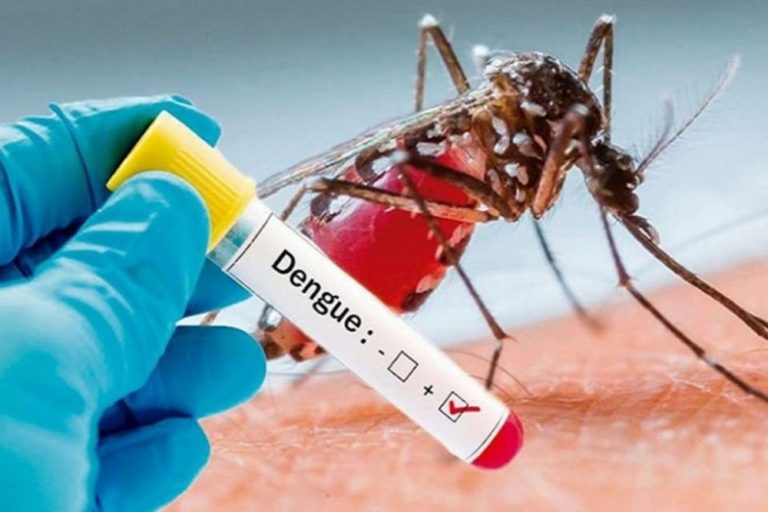 Febra dengue face ravagii în Pakistan