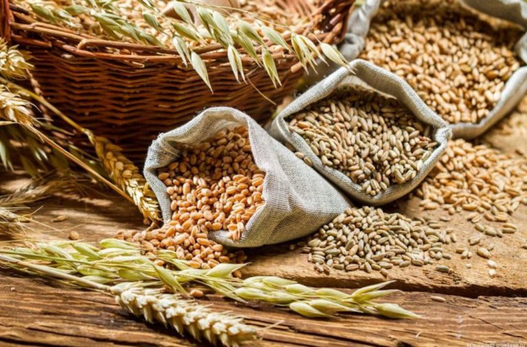 Activitatea comisiei pentru licențierea importului de cereale și semințe oleaginoase, suspendată