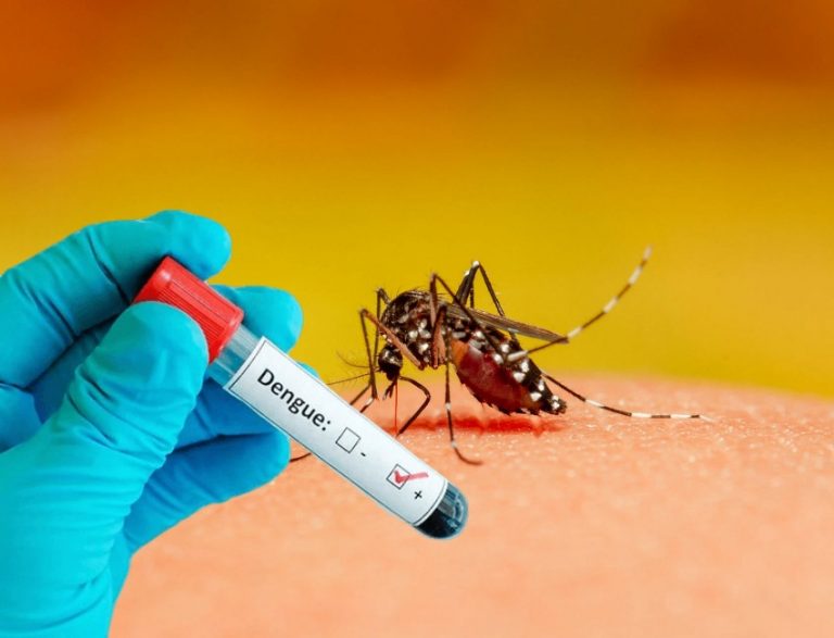 Țânțarul care răspândeşte febra dengue a ajuns și în Republica Moldova