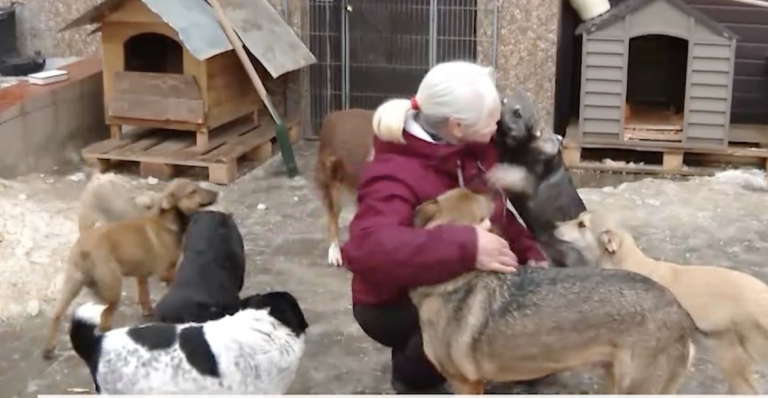 O femeie ține acasă 50 de câini și 13 pisici – VIDEO