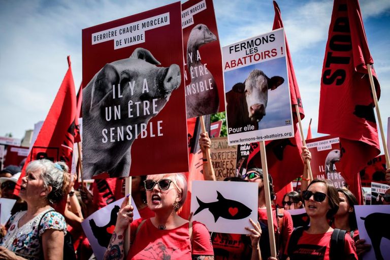Manifestaţie la Paris împotriva relelor tratamente aplicate animalelor  Se solicită închiderea tuturor abatoarelor din Franţa