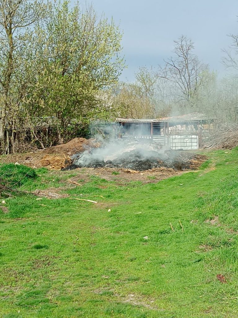 Inspectorii de mediu sacționează dur persoanele care ard sau depozitează ilegal deșeurile menajere. Ce amenzi se aplică