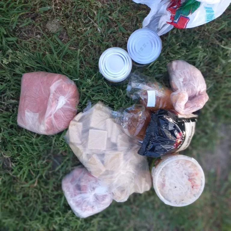 Furau mâncarea de la pacienți. Trei angajate a unui spital din Soroca au fost prinse cu conserve în geantă
