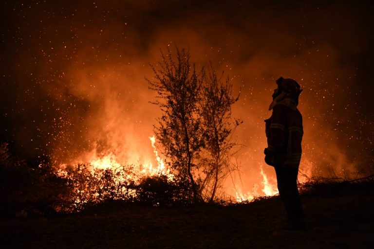 Incendiul de pădure din Parcul Naţional Elveţia Saxonă nu a fost încă adus sub control