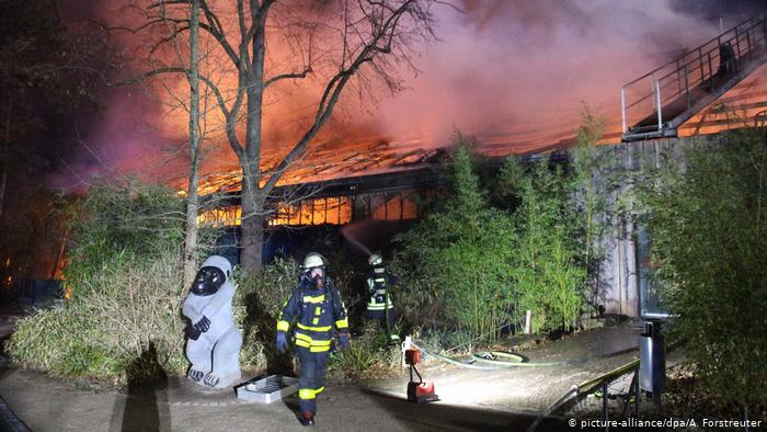 Trei femei,suspectate că ar fi provocat incendiul de la grădina zoologică din Germania