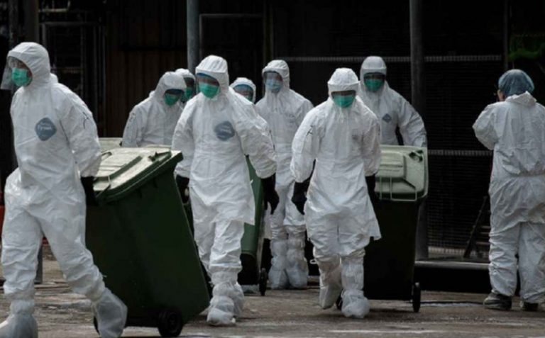 Peste 15.000 de raţe eutanasiate în sudul Cehiei după descoperirea unui focar de gripă aviară